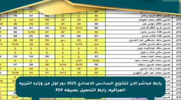 رابط مباشر الآن لنتائج السادس الإعدادي 2025 دور أول من وزارة التربية العراقية، رابط التحميل بصيغة PDF